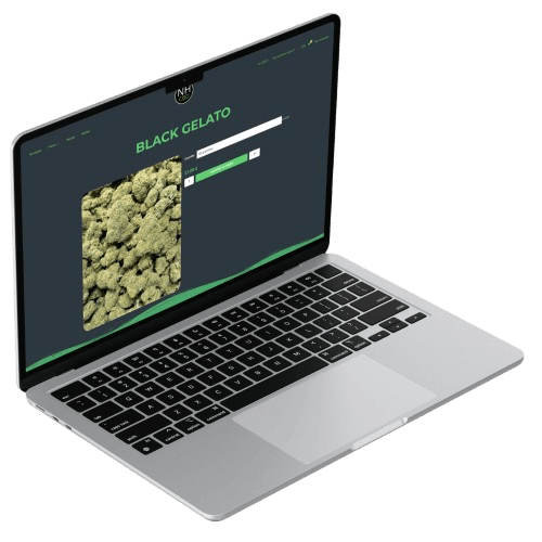 mockup boutique ecommerce CBD