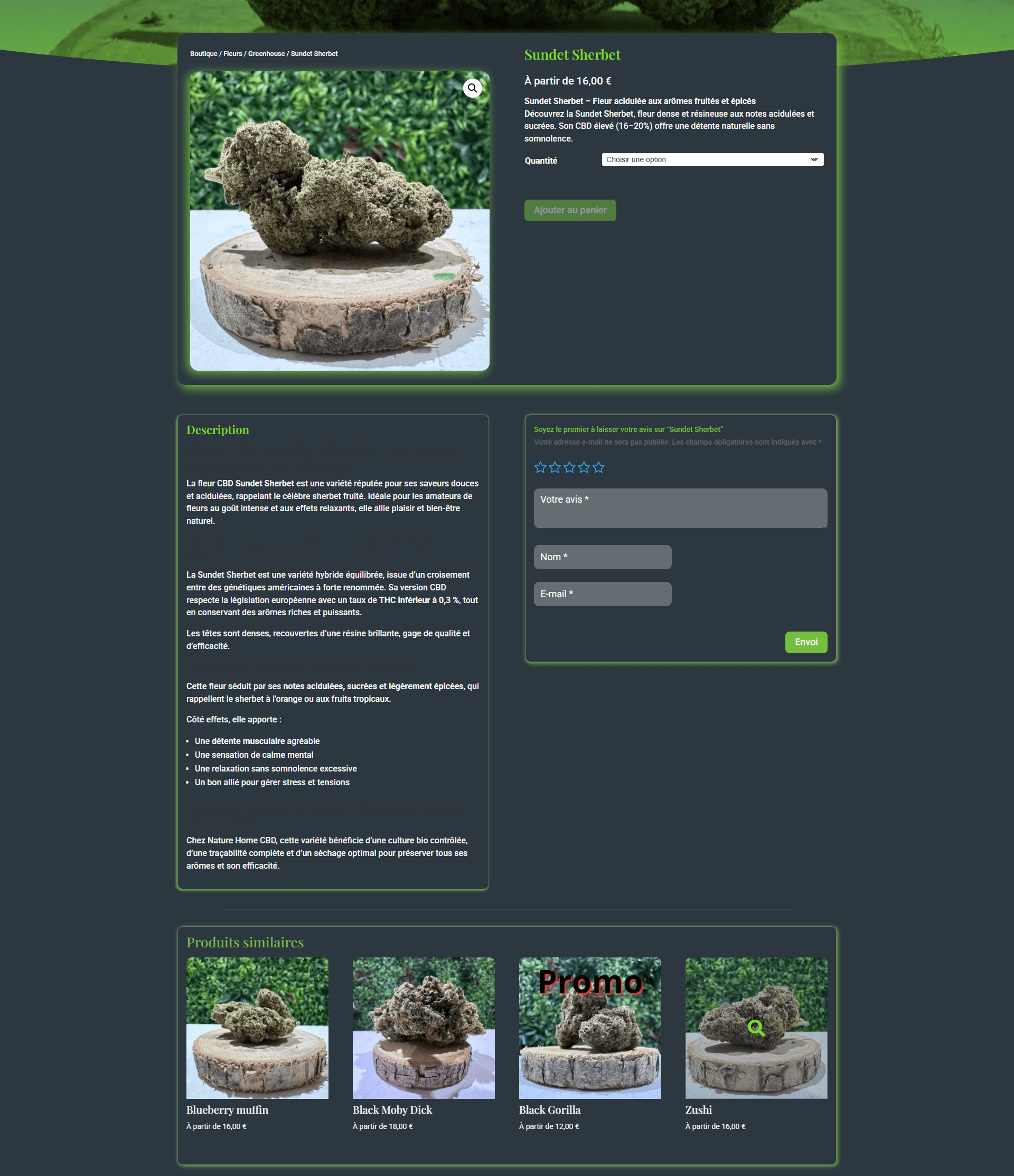 Section de la page produit avec description du produit et avis